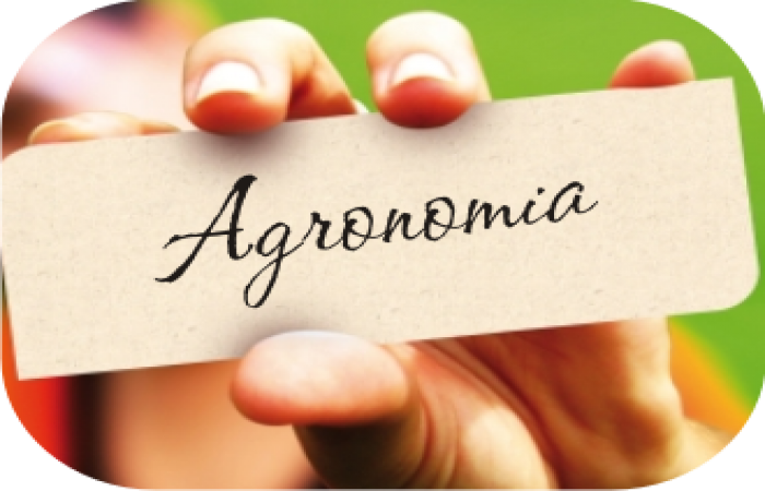 Processo Seletivo 006/2017 - Engenharia Agronômica