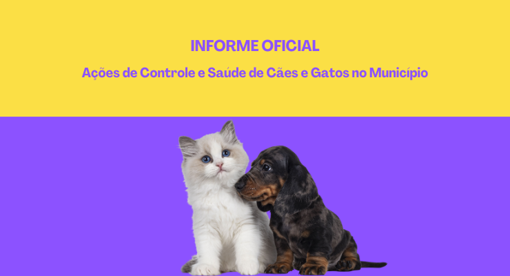 Informe Oficial